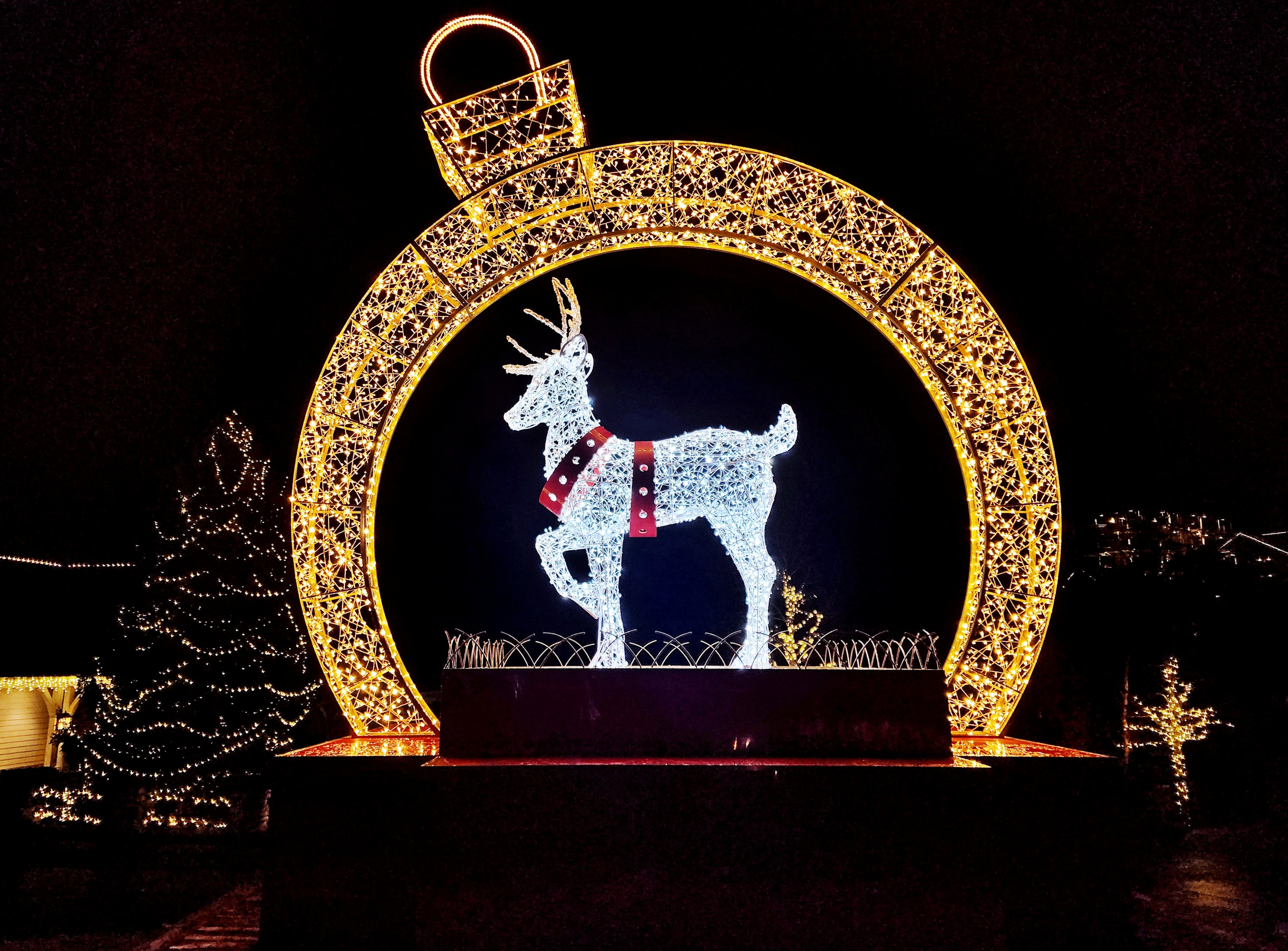 VIP Christmas Lights Tour